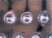 Внешний вид эффекта «розового кольца» из IPC-A-600